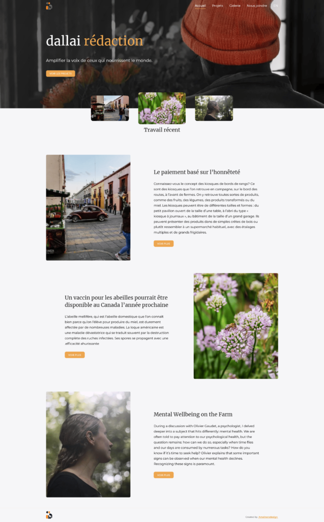 Screenshot of landing page for Dallai Redaction